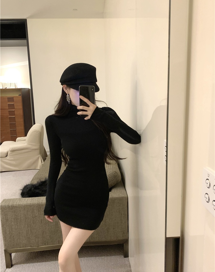 Bottoming slim knitted high collar pinched waist dress