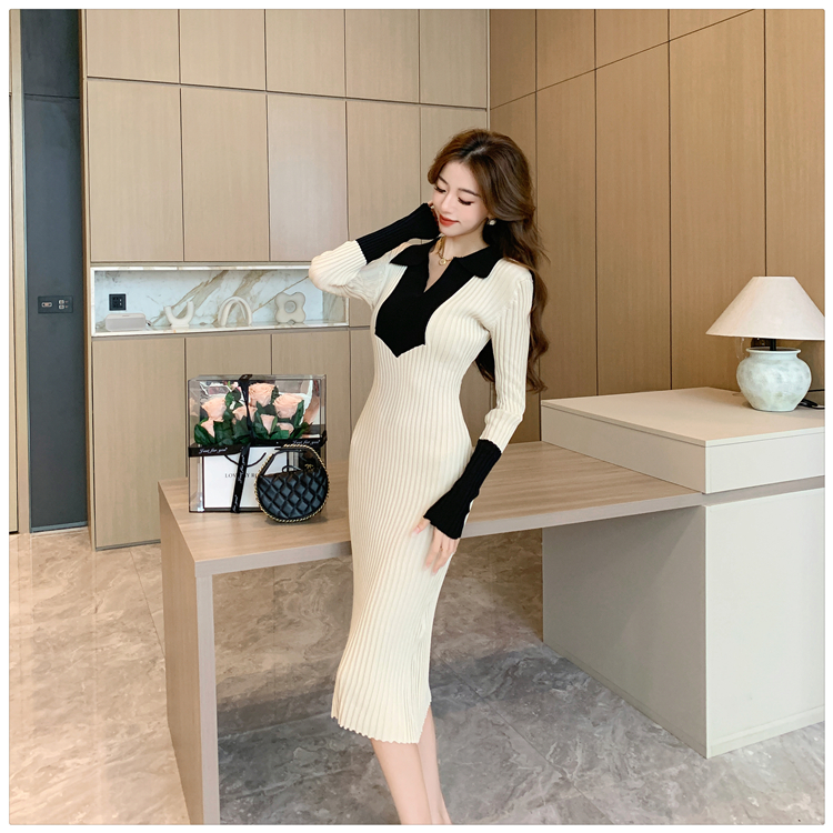 Autumn and winter long dress dress for women