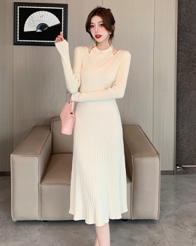 Autumn and winter Pseudo-two A-line dress for women