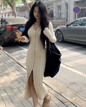 Long sleeve long dress niche dress for women