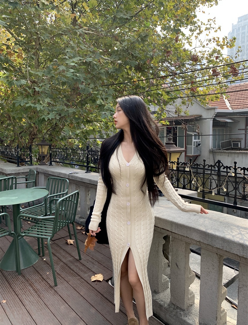 Long sleeve long dress niche dress for women