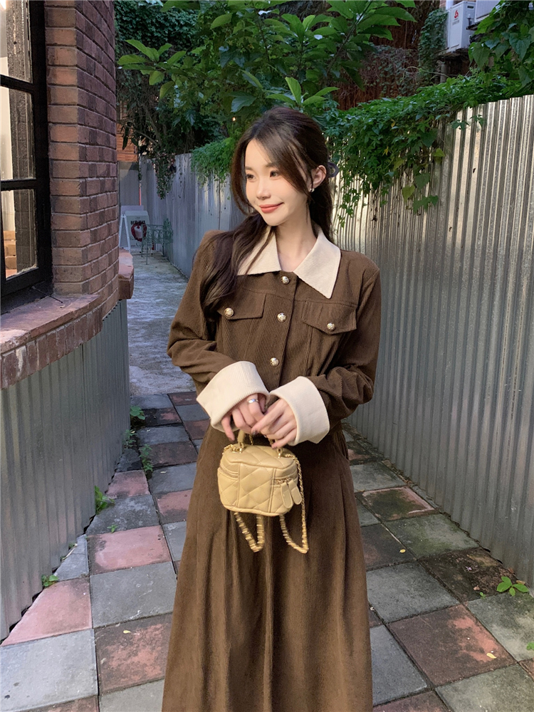 Retro Korean style coat A-line skirt 2pcs set