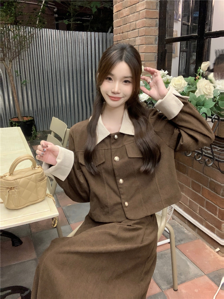 Retro Korean style coat A-line skirt 2pcs set