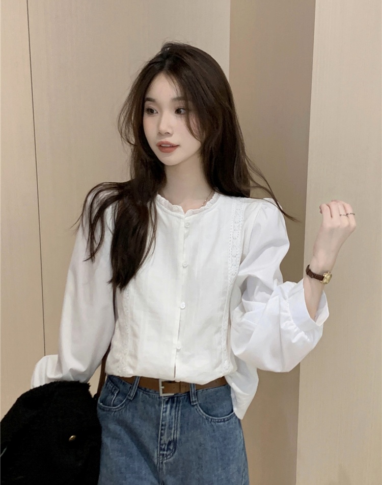 Korean style long sleeve small shirt retro tops for women