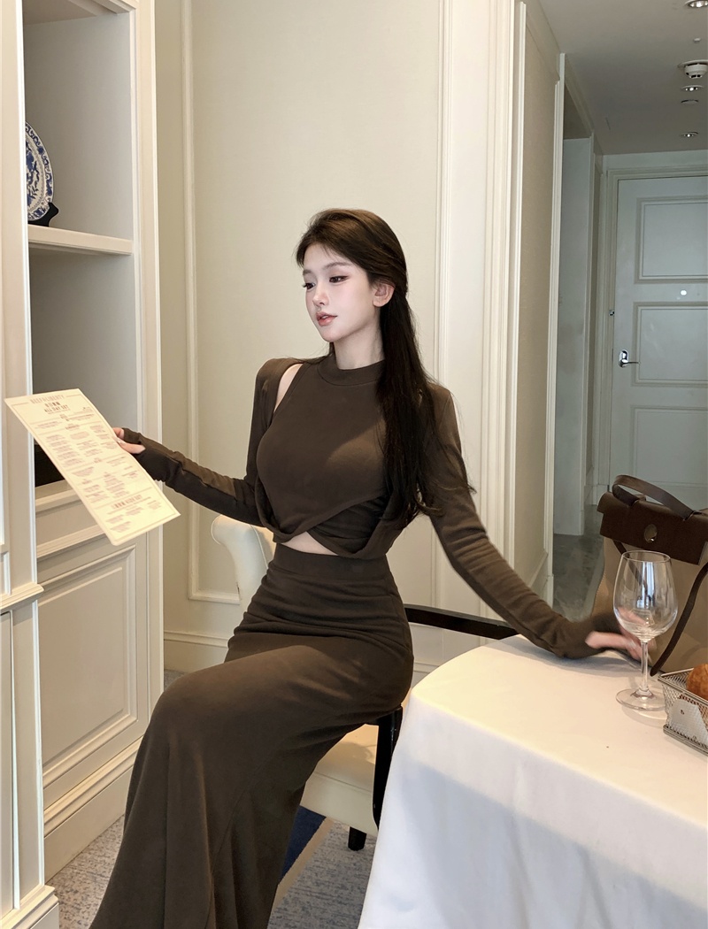 Long sleeve temperament skirt niche tops 2pcs set