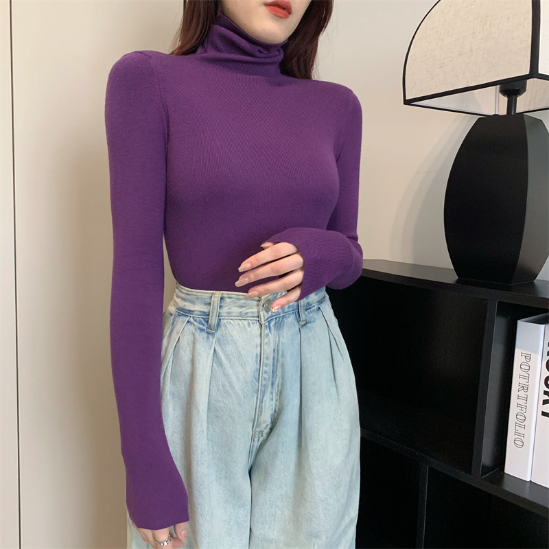 High collar bottoming shirt autumn and winter tops for women