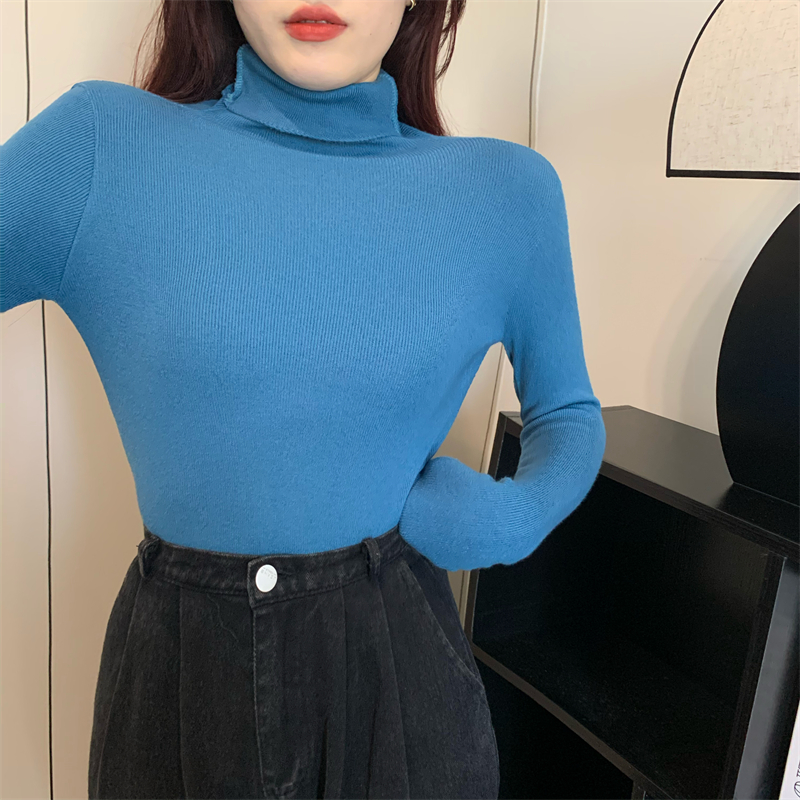 High collar bottoming shirt autumn and winter tops for women