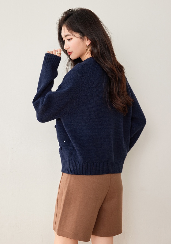 Embroidery round neck coat autumn hairball sweater for women