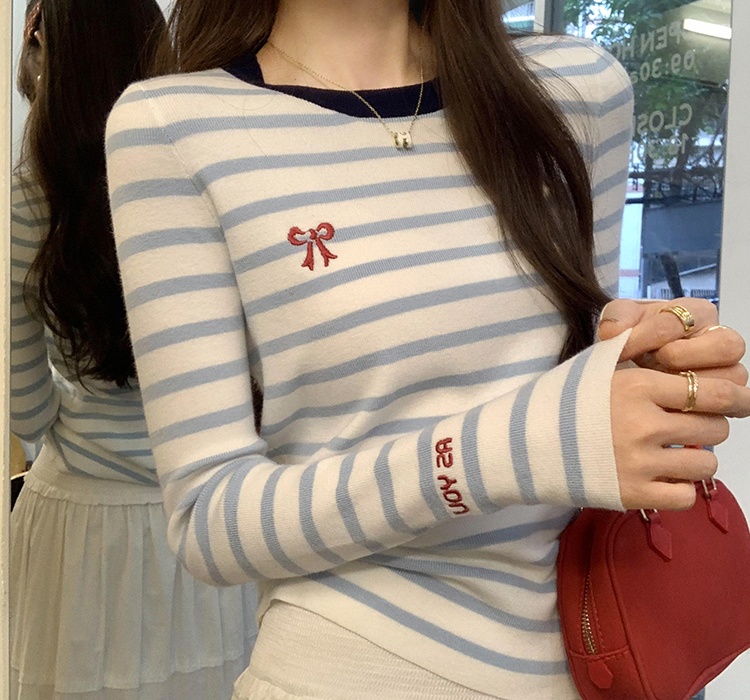 Autumn and winter unique tops embroidery stripe sweater