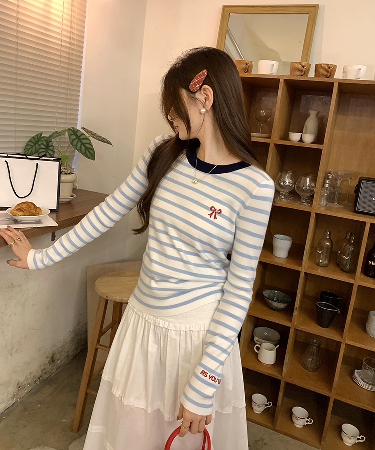 Autumn and winter unique tops embroidery stripe sweater