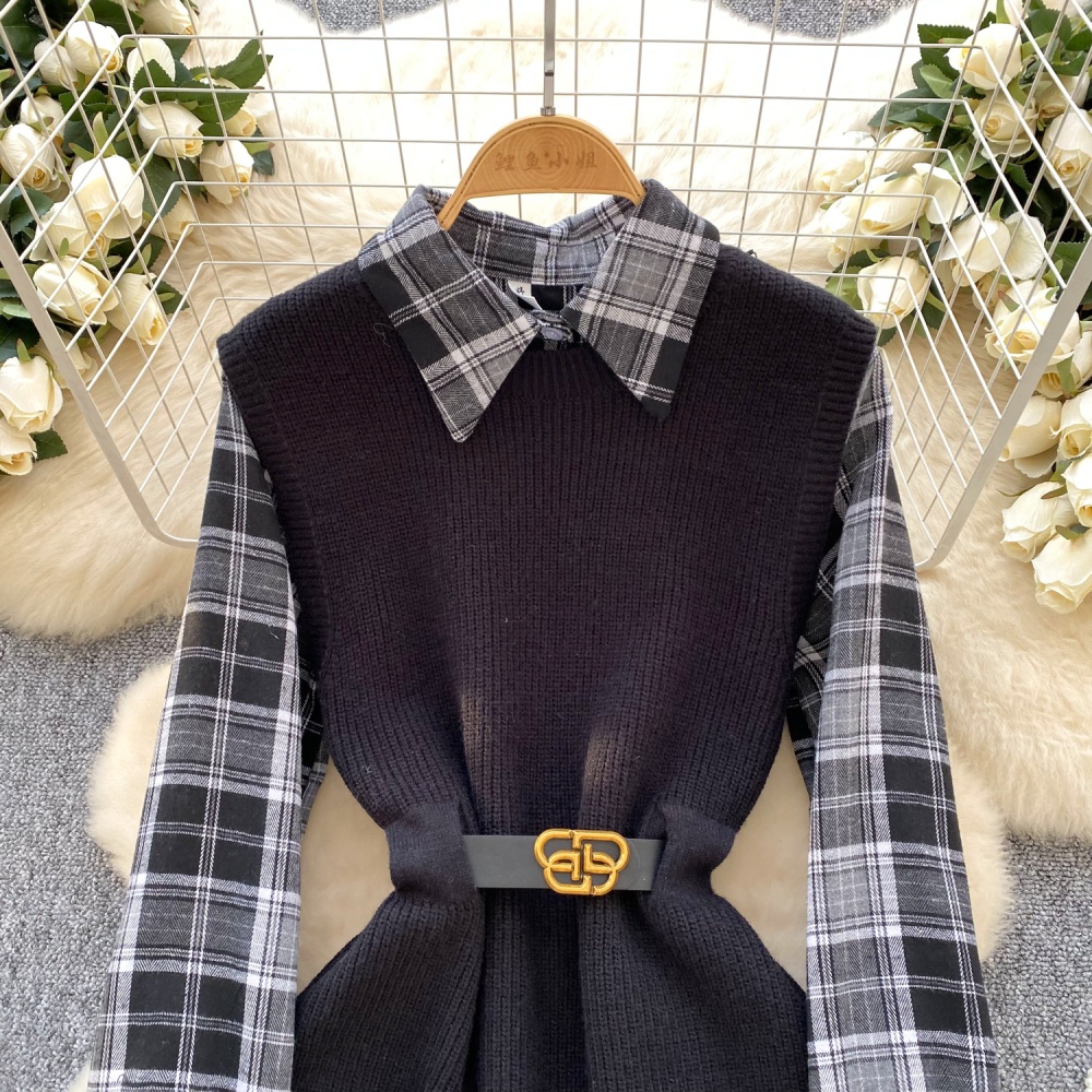 Fashion shirt autumn and winter dress 2pcs set for women