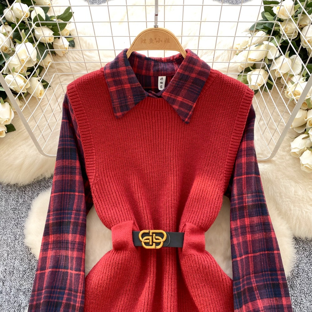 Fashion shirt autumn and winter dress 2pcs set for women