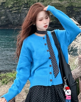 Blue loose autumn sweater knitted Korean style tops