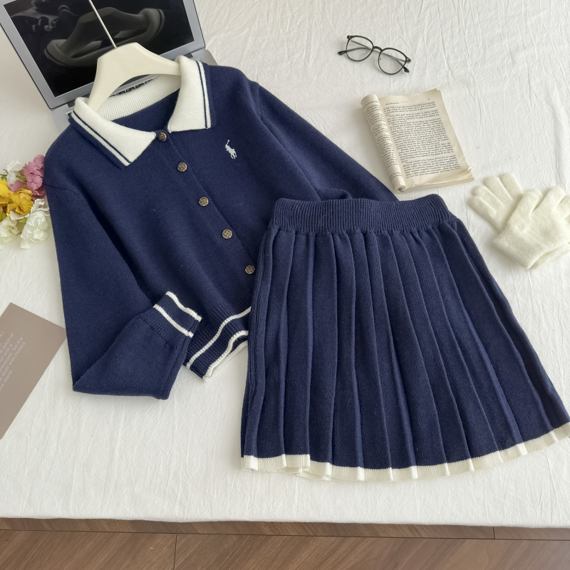 A-line tops high waist skirt 2pcs set