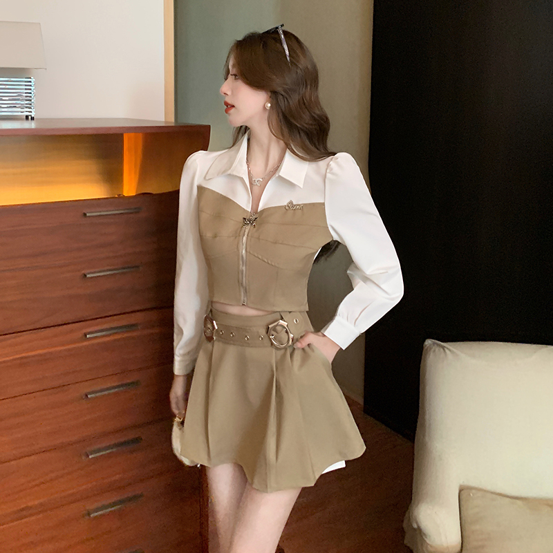 Long sleeve Casual shirt fashion skirt a set for women