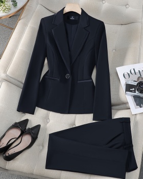 Profession suit pants business suit 2pcs set for women