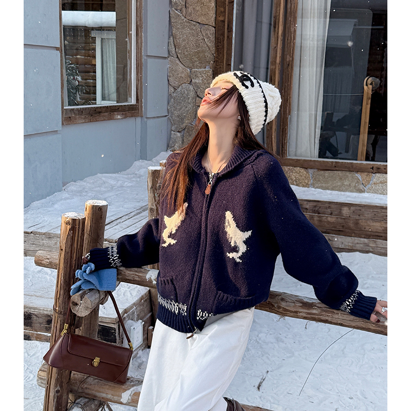 American style simple coat small dolphin sweater for women