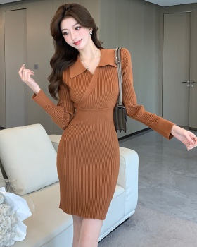 Long sleeve slim V-neck dress sexy package hip T-back for women