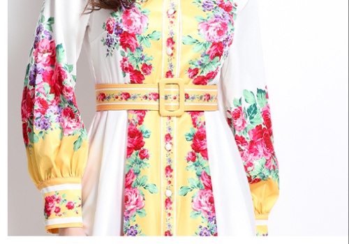 Lapel long spring and summer painting dress