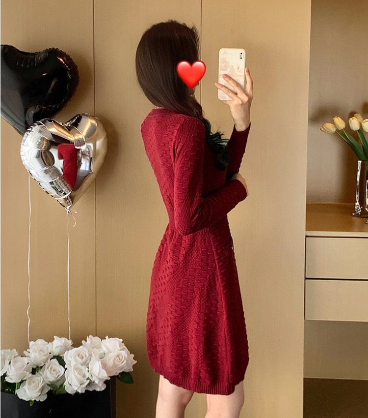 Tender slim France style knitted spring dress for women