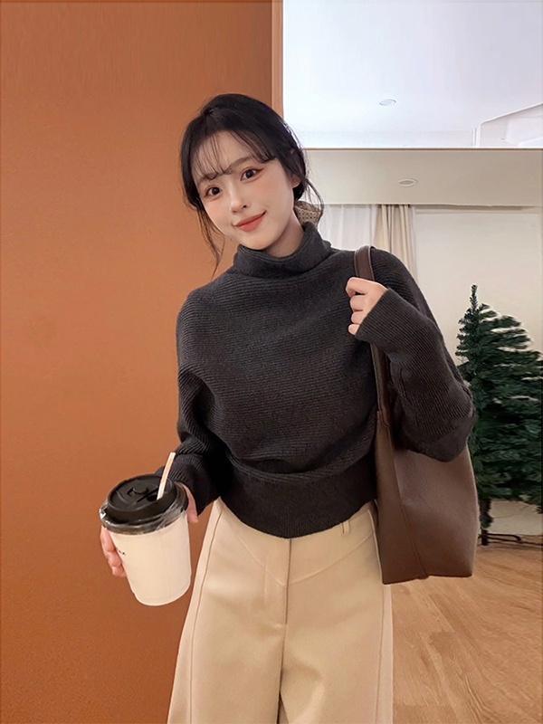 Heap collar bat sleeve half high collar niche sweater for women