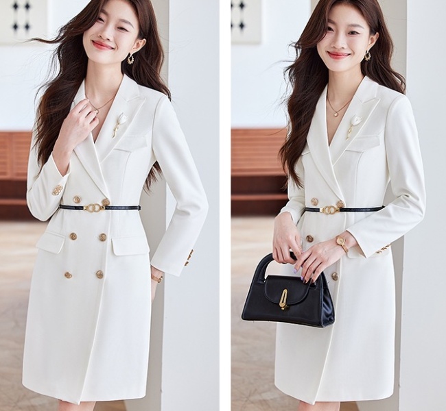 Temperament dress commuting business suit for women