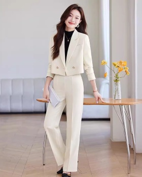 Spring and autumn coat temperament business suit 2pcs set for women