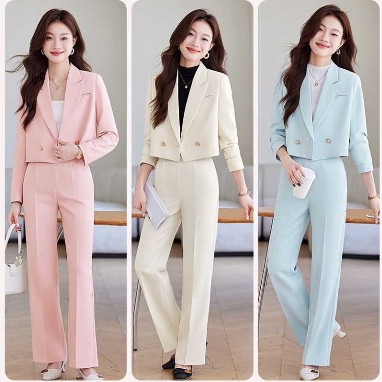 Spring and autumn coat temperament business suit 2pcs set for women