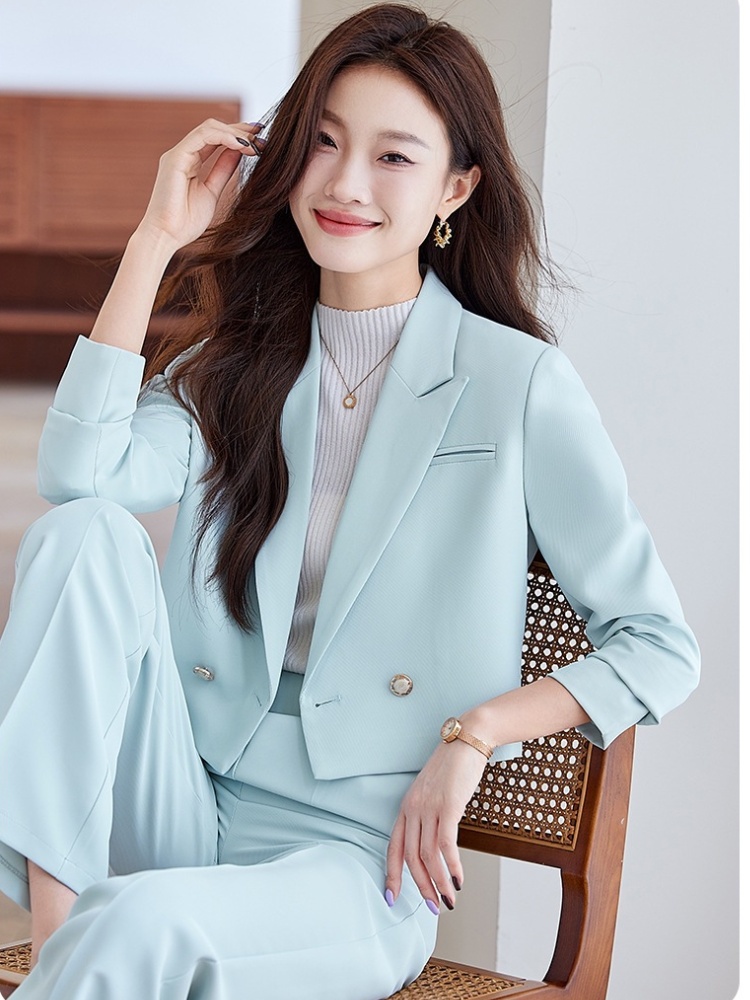 Spring and autumn coat temperament business suit 2pcs set for women