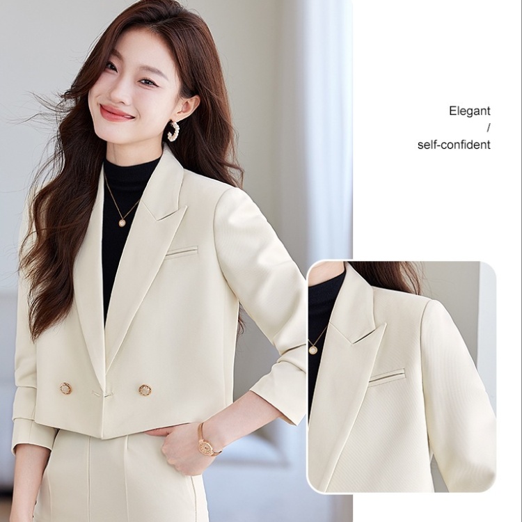 Spring and autumn coat temperament business suit 2pcs set for women