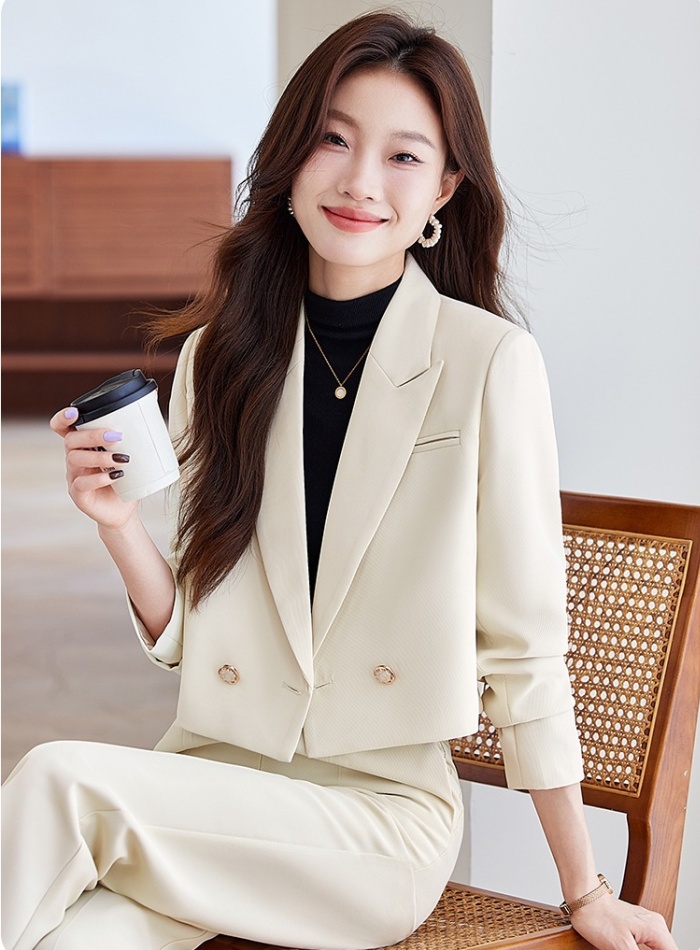 Spring and autumn coat temperament business suit 2pcs set for women