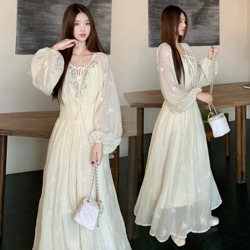 Embroidered stereoscopic long skirt spring skirt 2pcs set