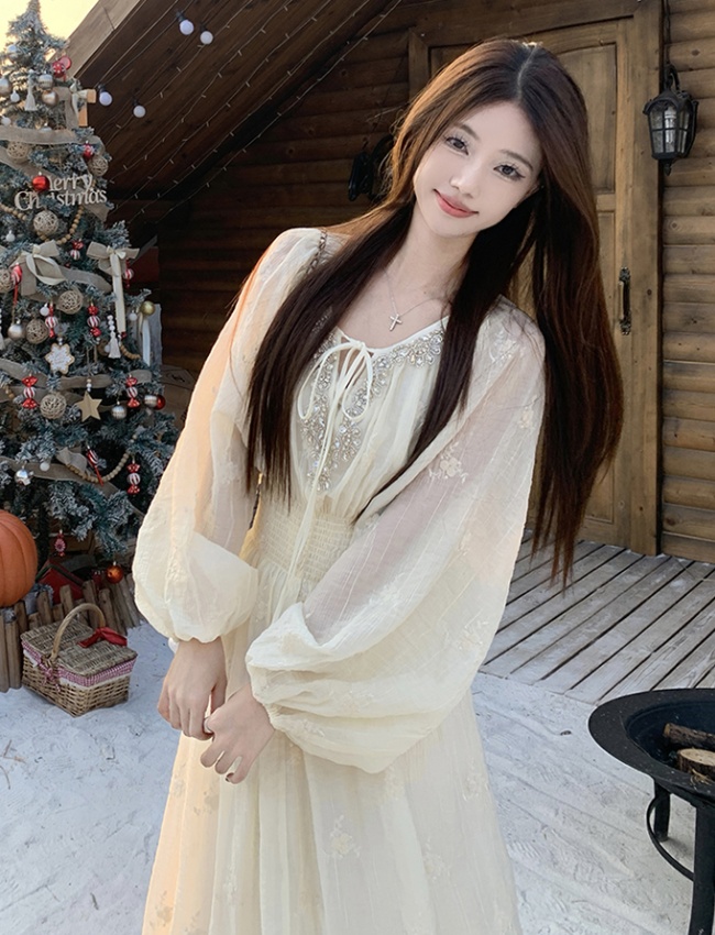 Embroidered stereoscopic long skirt spring skirt 2pcs set