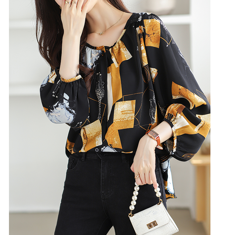 Korean style chiffon shirt Japanese style shirt for women