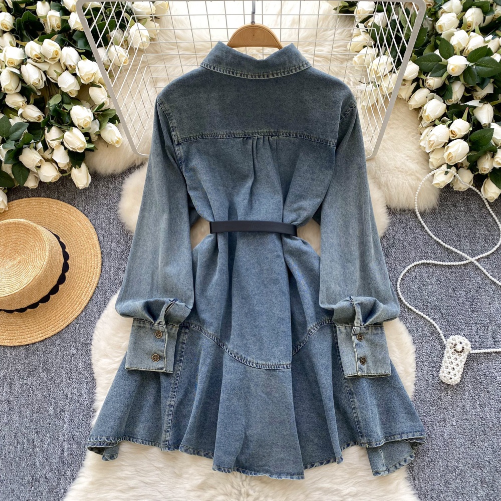 Slim denim frenum loose retro spring dress for women