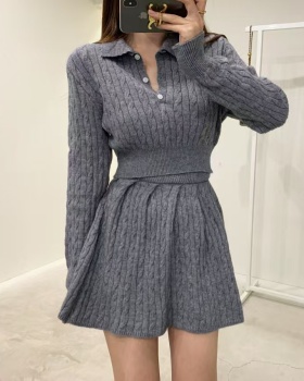 Korean style skirt high waist sweater 2pcs set