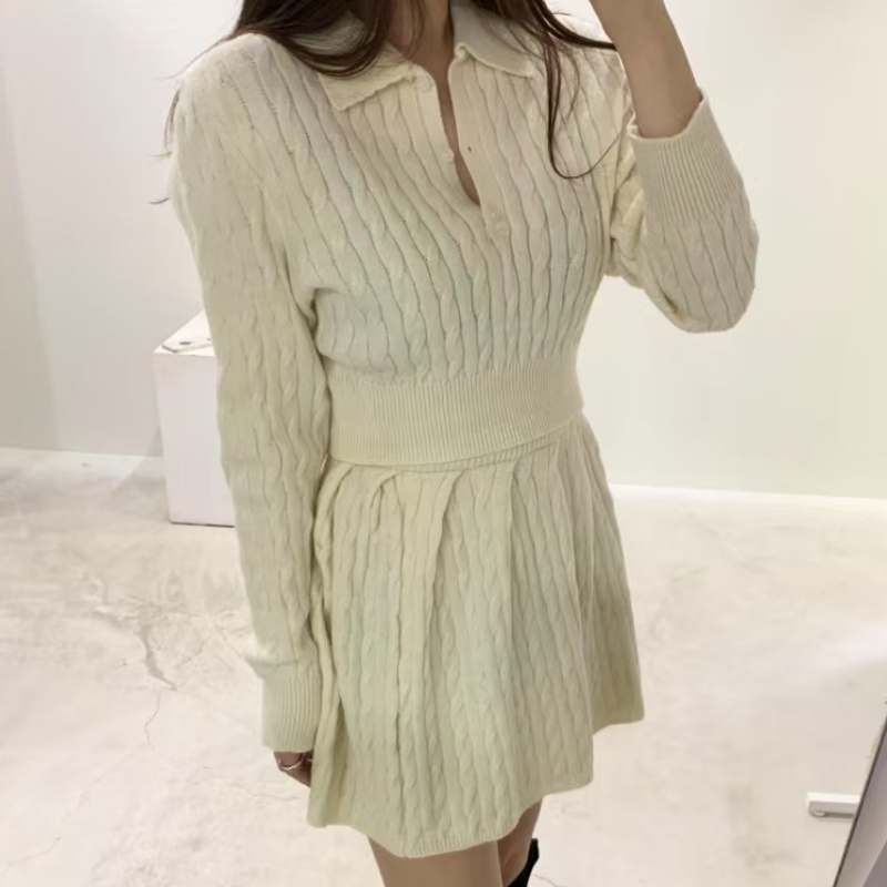 Korean style skirt high waist sweater 2pcs set