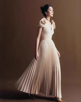 Pleated pinched waist long dress temperament dress