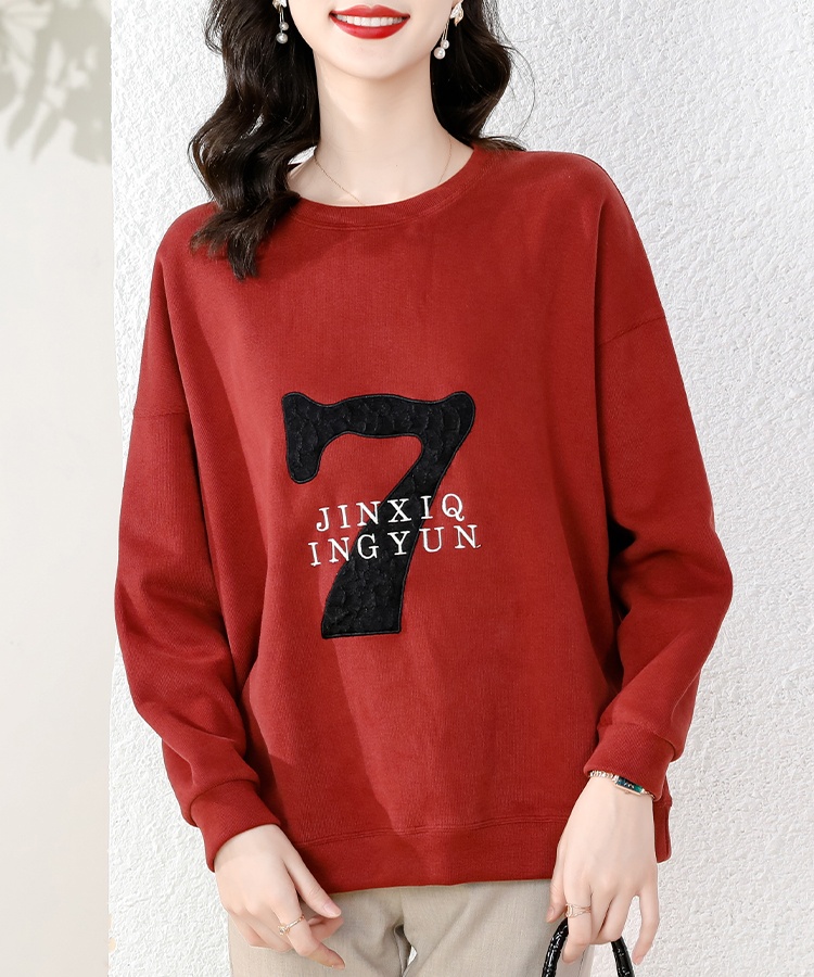 Autumn loose embroidered long sleeve hoodie for women