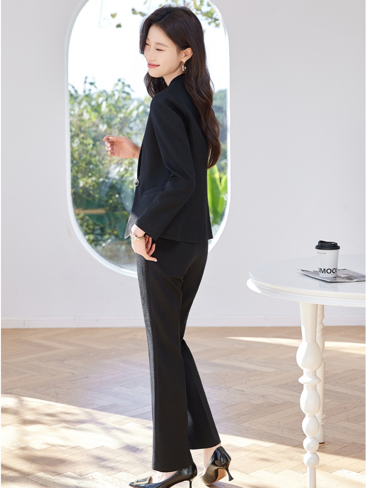 Casual business suit all-match suit pants 2pcs set for women