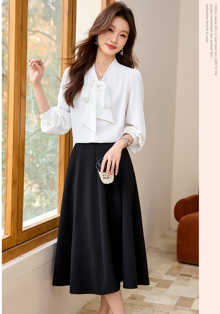 Streamer skirt spring and autumn shirt 2pcs set for women