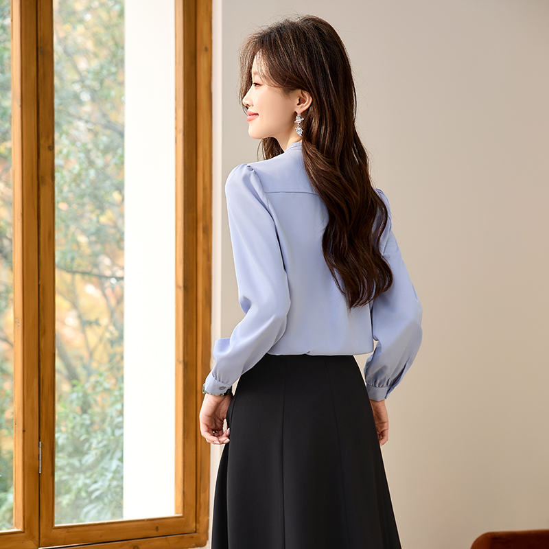 Streamer skirt spring and autumn shirt 2pcs set for women