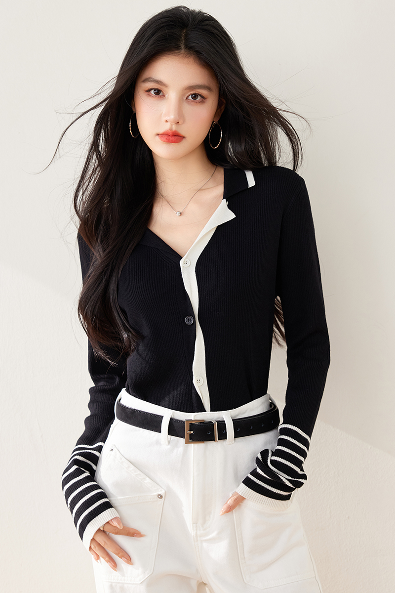 Spring slim sweater niche bottoming shirt for women