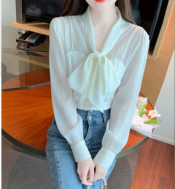 Spring tops lantern sleeve chiffon shirt for women