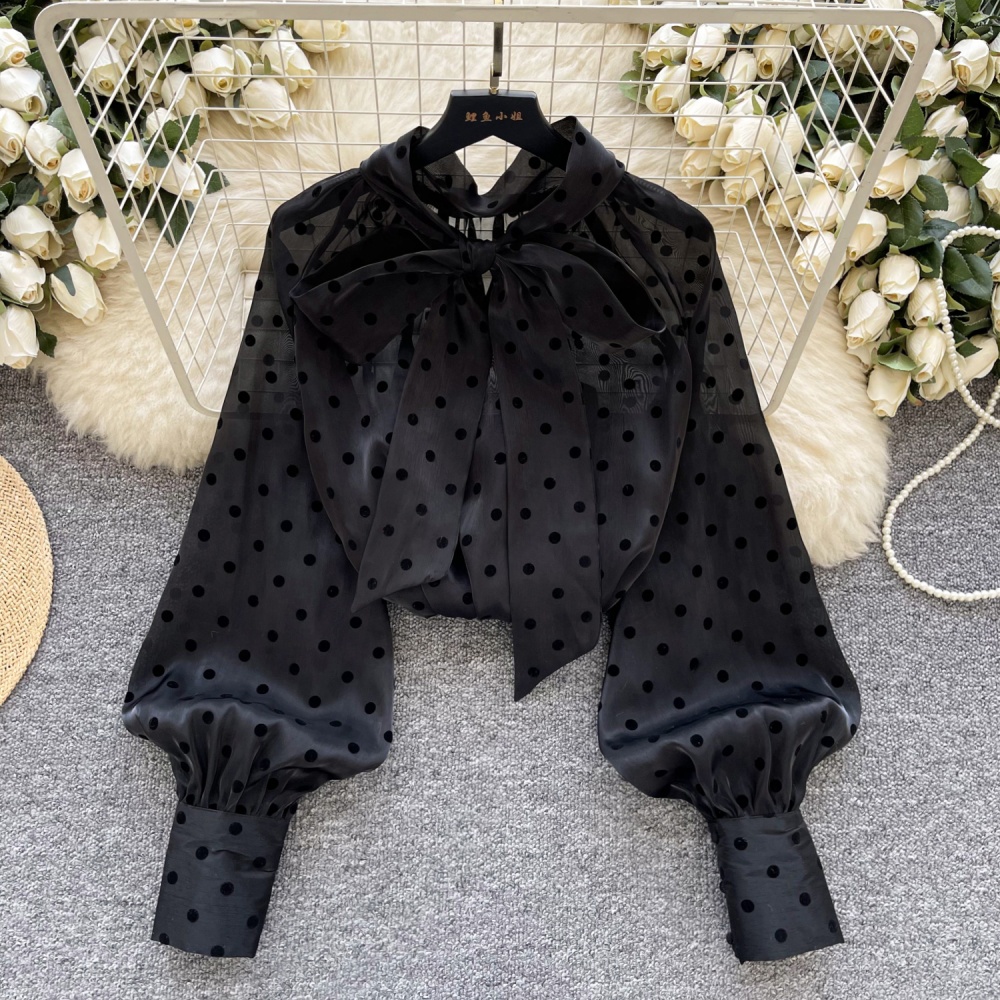 Chiffon Korean style shirt loose tops for women