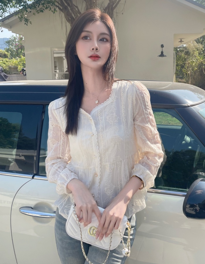 Temperament commuting chiffon shirt niche lace small shirt