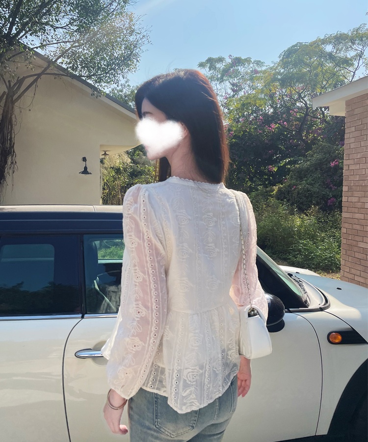 Temperament commuting chiffon shirt niche lace small shirt