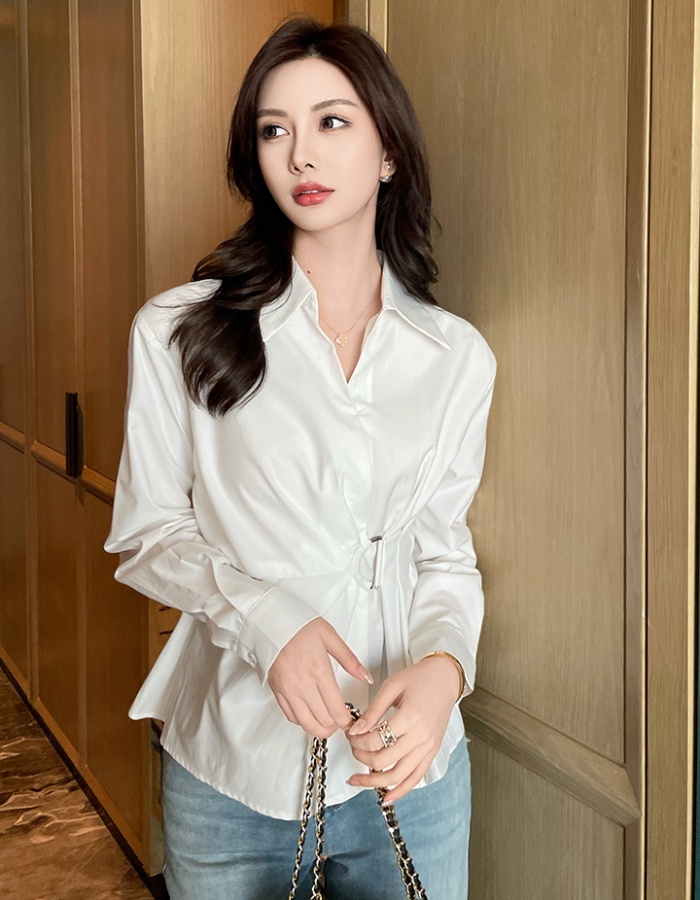 Slim lapel profession long sleeve spring shirt