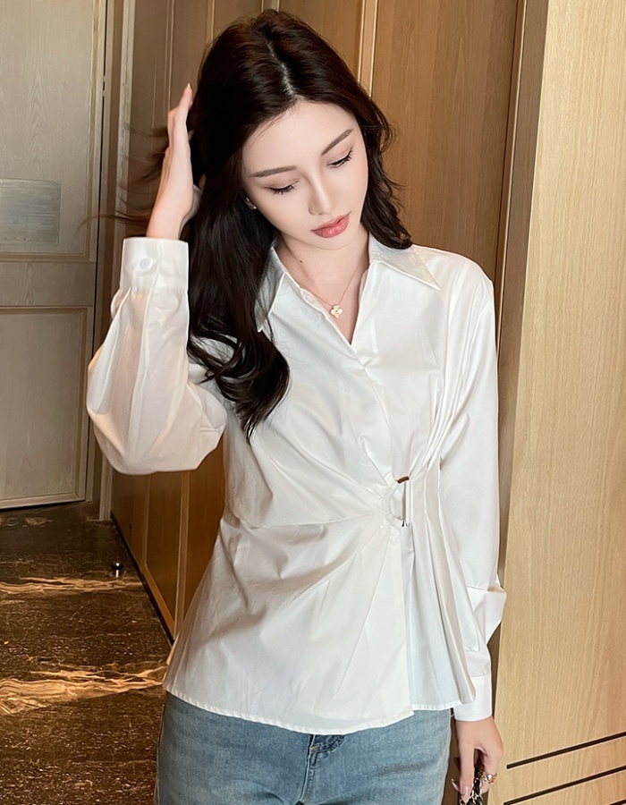 Slim lapel profession long sleeve spring shirt