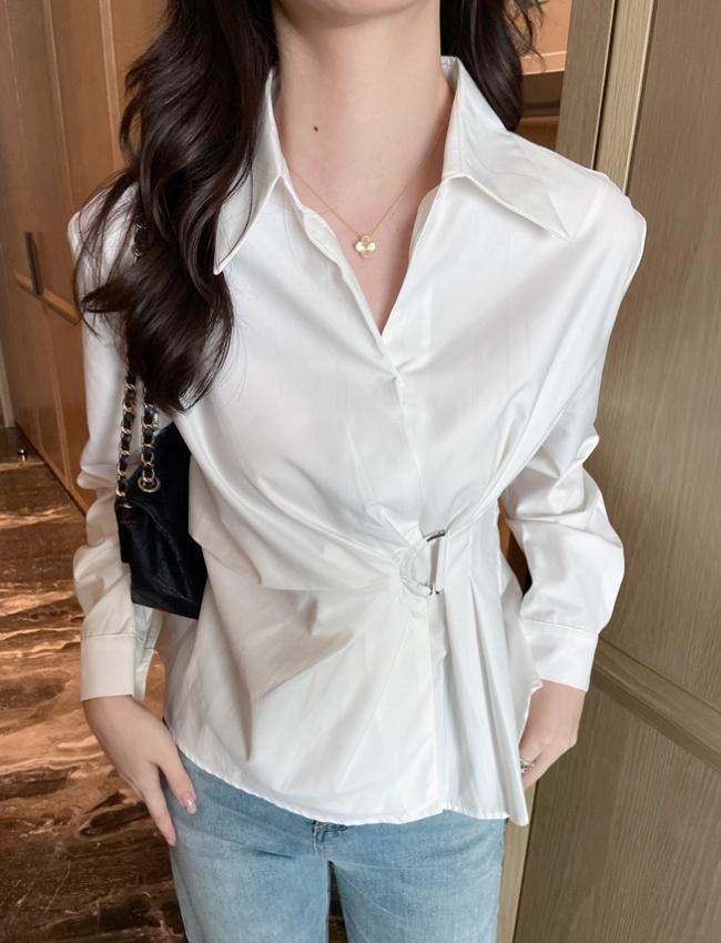 Slim lapel profession long sleeve spring shirt